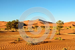 A stunning view of the sand dunes of Namibia