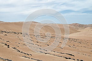 Stunning view to the dunes of the desert under blue sky