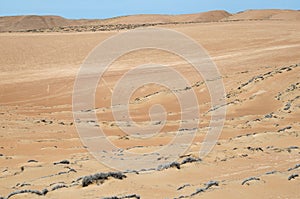 Stunning view to the dunes of the desert under blue sky