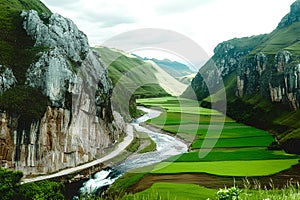 Beautiful landscape of green rice fields and mountain river in China. photo