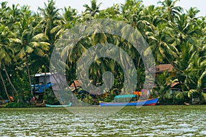 Stunning view of village covered with coconut trees at the river bank