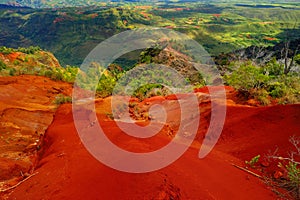 Stunning view into Waimea Canyon, Kauai