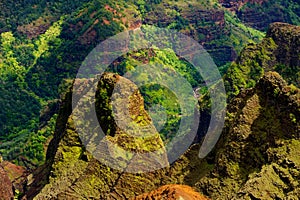 Stunning view into Waimea Canyon, Kauai, Hawaii