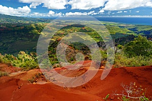 Stunning view into Waimea Canyon, Kauai, Hawaii