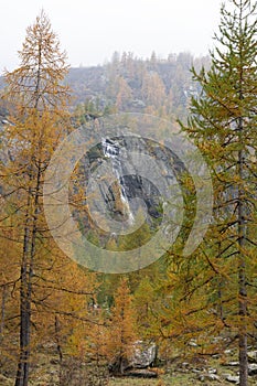 Stunning view of a waterfall in Larch mountain forest in the autumn in Balme, Lanzo Valley, Italy
