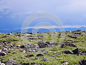 Stunning views from Beartooth Pass, Wyoming. USA.