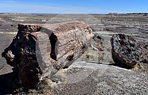 Stunning Views of Petrified Forest and Painted Desert