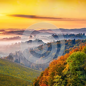 Stunning vineyards landscape in South Styria near Gamlitz