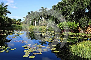 Stunning Water Garden