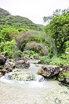 Waterfall in Ayn Khor  and Lush green landscape, trees and foggy mountains at tourist resort, Salalah, Oman photo