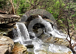 Stunning waterfall and nature beauty, India