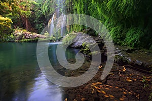 Leaves in an emerald lake with stunning waterfalls in deep green forest in Kursunlu Natural Park, Antalya