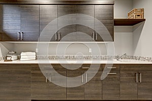 Stunning wet bar with dark wood shaker cabinets