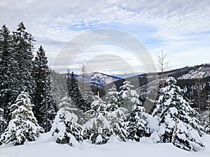 Stunning winter landscape of deep snow, trees and mountains