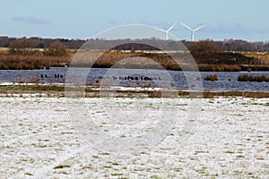 A stunning winter landscape shot at a nature reserve depicting snow covered fields surrounded by lakes