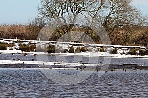 A stunning winter landscape shot at a nature reserve depicting snow covered fields surrounded by lakes