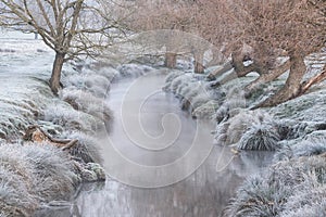 Stunning Winter sunrise landscape image at dawn with hoarfrost on the plants and trees with golden hour sunrise light