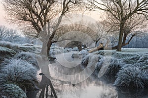 Stunning Winter sunrise landscape image at dawn with hoarfrost on the plants and trees with golden hour sunrise light