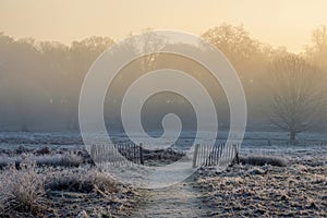 Stunning Winter sunrise landscape image at dawn with hoarfrost on the plants and trees with golden hour sunrise light