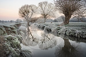 Stunning Winter sunrise landscape image at dawn with hoarfrost on the plants and trees with golden hour sunrise light