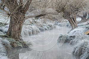 Stunning Winter sunrise landscape image at dawn with hoarfrost on the plants and trees with golden hour sunrise light