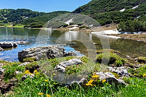 Stunning zireiner see lake in tyrol alm mountains Austria