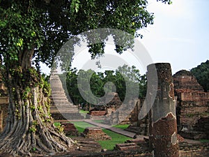 Stupa behind a tree - Sukhothai - ThaÃ¯Â¿Â½lande