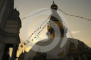 Stupa in Evening Light