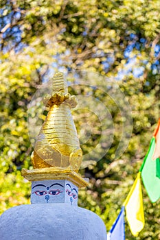 Stupa and prayer flags in Nepal