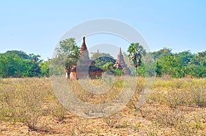 Stupas in forest