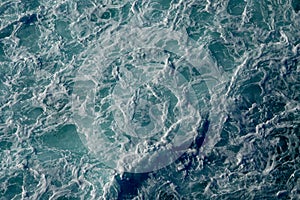 Stupendous game of water vortices on the sea of the Cyclades