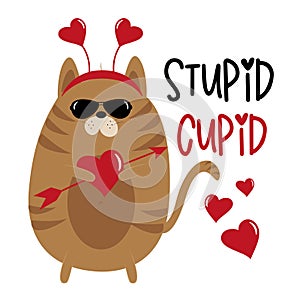 Stupid Cupid - funny phrase with cupid cat