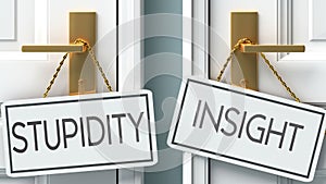 Stupidity and insight as a choice - pictured as words Stupidity, insight on doors to show that Stupidity and insight are opposite