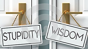Stupidity and wisdom as a choice - pictured as words Stupidity, wisdom on doors to show that Stupidity and wisdom are opposite photo