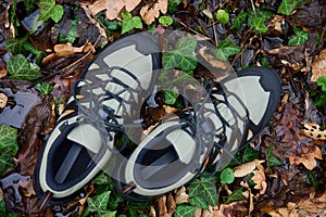 Sturdy Hiking Boots in Puddle on Forest Trail