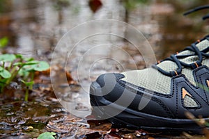 Sturdy Hiking Boots in Puddle on Forest Trail