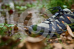 Sturdy Hiking Boots in Puddle on Forest Trail