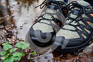 Sturdy Hiking Boots in Puddle on Forest Trail