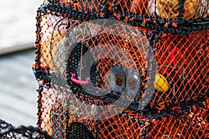 sturdy lobster cages with intricate netting and bright colors..