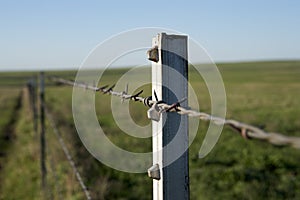 Sturdy metal dropper on a barbed wire fence