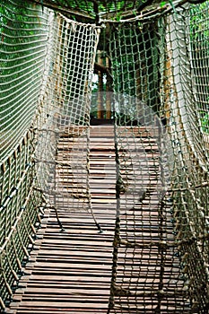 Sturdy Rope Bridge