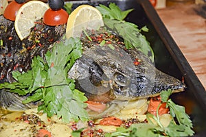 Sturgeon in a baking dish garnished with cherry tomatoes olives and herbs festive dish