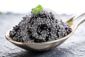 Sturgeon Black Caviar in Spoon on Dark Background
