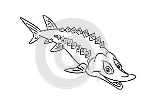 Sturgeon fish illustration coloring pages