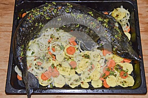 Sturgeon in a pan  festive dish