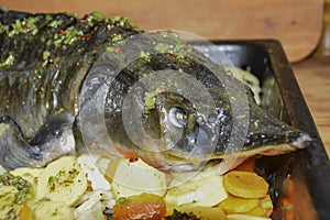 Sturgeon in a pan  festive dish