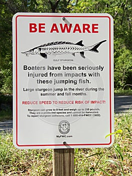 Sturgeon Warning Sign