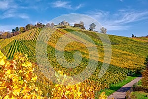 Stuttgart Germany Grabkapelle Vineyards Autumn Fall Season Beaut