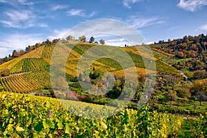 Stuttgart Germany Grabkapelle Vineyards Autumn Fall Season Beaut