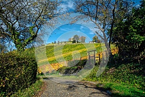 Stuttgart Germany Grabkapelle Vineyards Autumn Fall Season Beaut